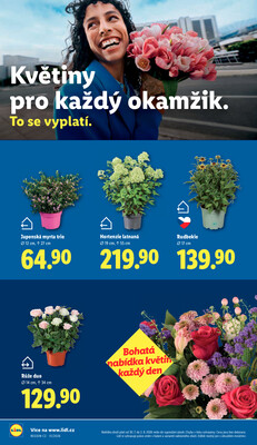 Lidl Čtvrtek od 30.7. do 2.8.2026
