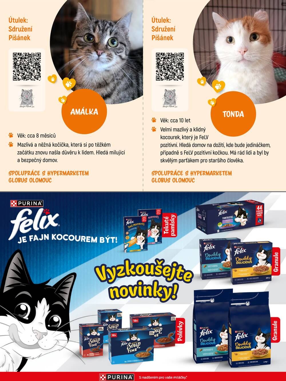 Globus Adoptujte kamaráda