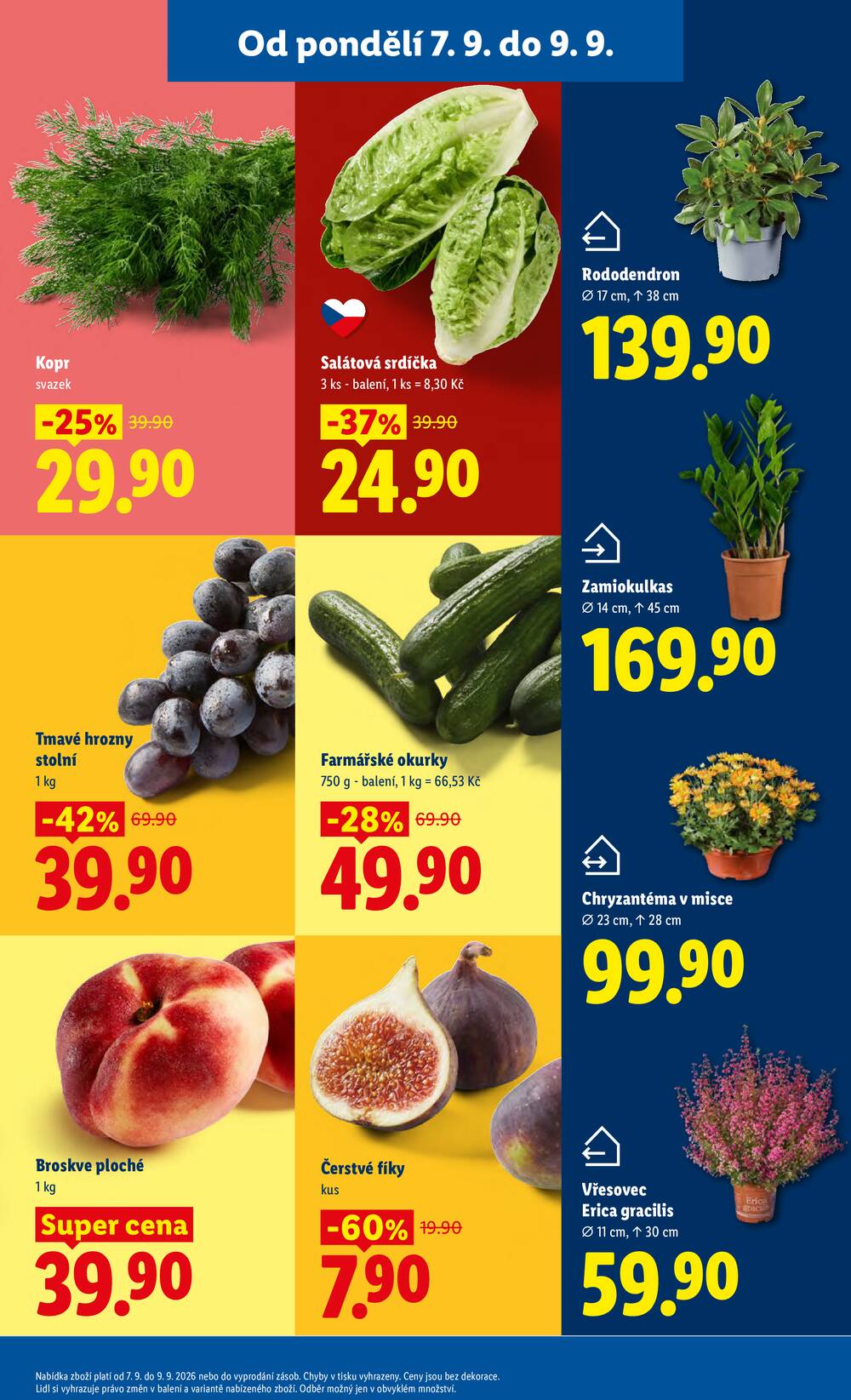 Lidl od 7.9. do 9.9.2026