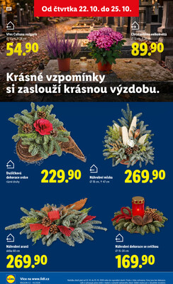 Lidl Čtvrtek od 22.10. do 25.10.2026