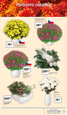Tesco hypermarkety od 29.10. do 3.11.2026