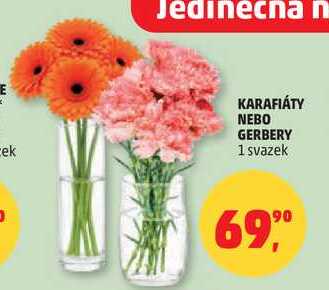 KARAFIÁTY NEBO GERBERY, 1 svazek
