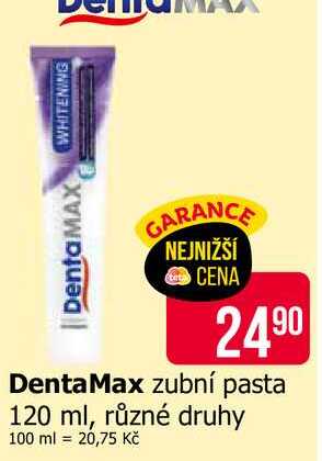 DentaMax zubní pasta 120ml, vybrané druhy