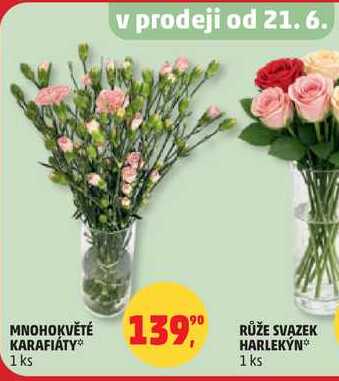 MNOHOKVĚTÉ  KARAFIÁTY, 1 ks   