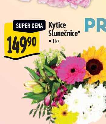 Kytice Slunečnice 1 ks