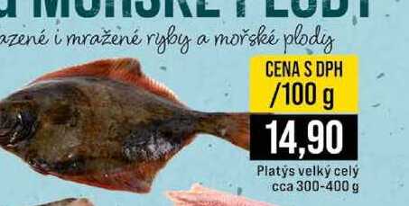 Platys velký celý cca 300-400 g 100g