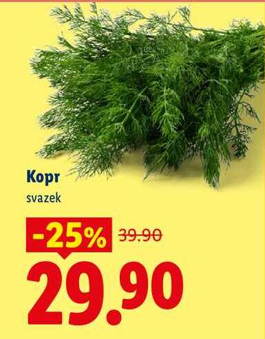 Kopr