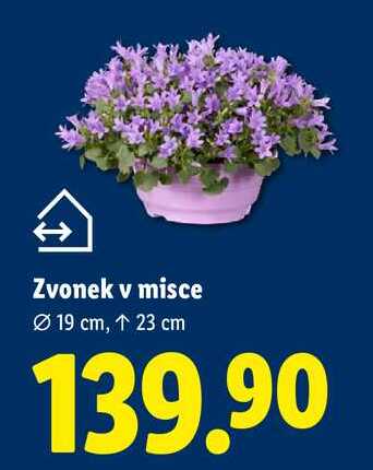 Zvonek v misce
