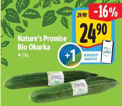 Nature's Promise Bio Okurka, 1 ks  