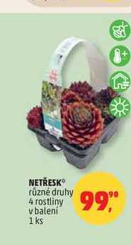 NETŘESK