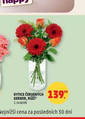 KYTICE ČERVENÝCH GERBER, RŮŽÍ 1 svazek
