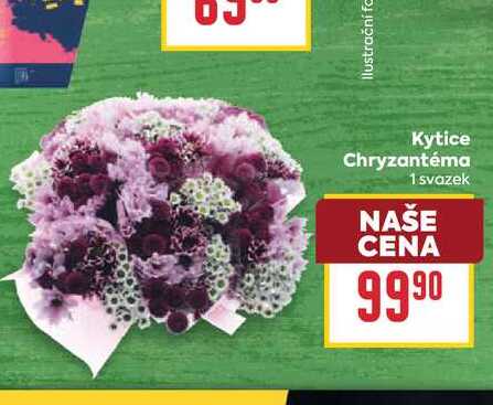 Kytice Chryzantéma 1 svazek