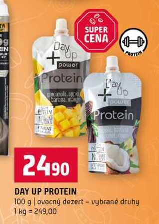 DAY UP PROTEIN 100 g ovocný dezert vybrané druhy