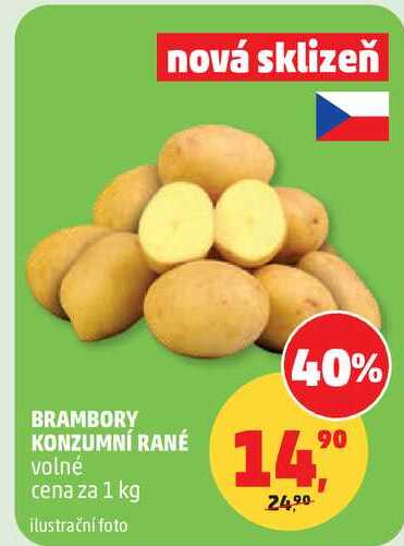 BRAMBORY KONZUMNÍ RANÉ volné cena za 1 kg