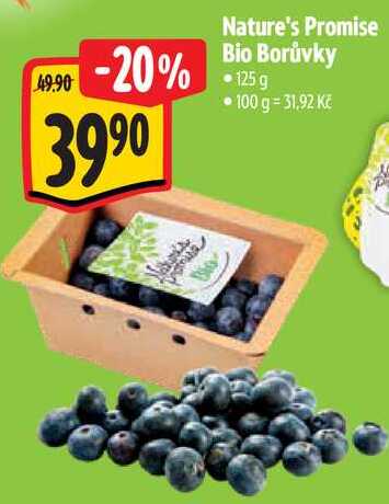 Nature's Promise Bio Borůvky, 125 g