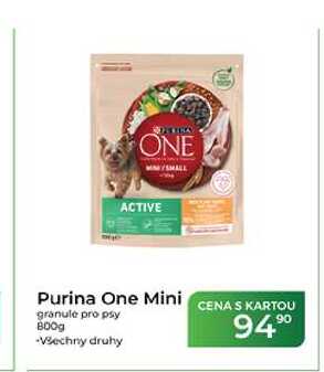 Purina One Mini granule pro psy 800g  