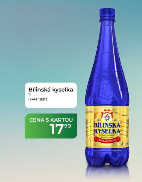 Bílinská kyselka 11