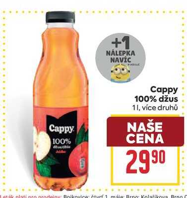 Cappy 100% džus 1l