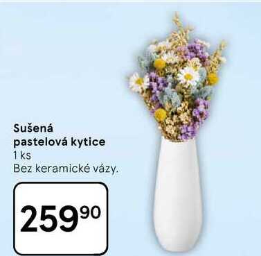 Sušená pastelová kytice, 1 ks, Bez keramické vázy