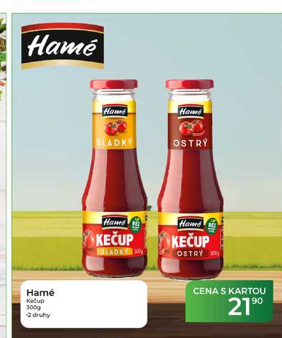 Hame Hamé Kečup 300g
