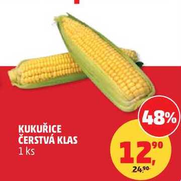 KUKUŘICE ČERSTVÁ KLAS, 1 ks