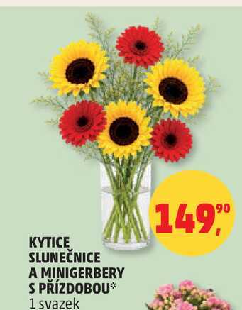 KYTICE SLUNEČNICE A MINIGERBERY S PŘÍZDOBOU, 1 svazek