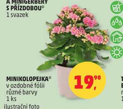 MINIKOLOPEJKA v ozdobné fólii různé barvy, 1 ks