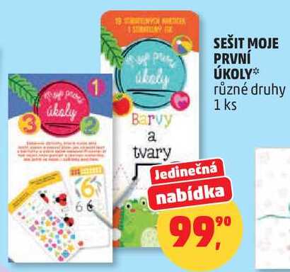 SEŠIT MOJE PRVNÍ ÚKOLY různé druhy, 1 ks