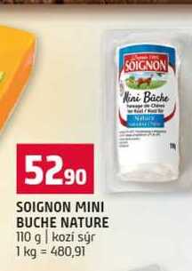 SOIGNON MINI BUCHE NATURE 110 g kozi sýr 