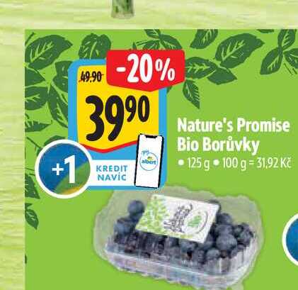   Nature's Promise Bio Borůvky 125 g  