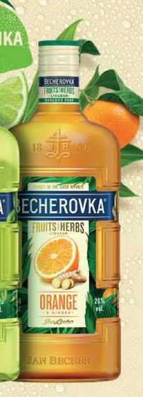 BECHEROVKA FRUITS HERBS ORANGE 24% 0,5l