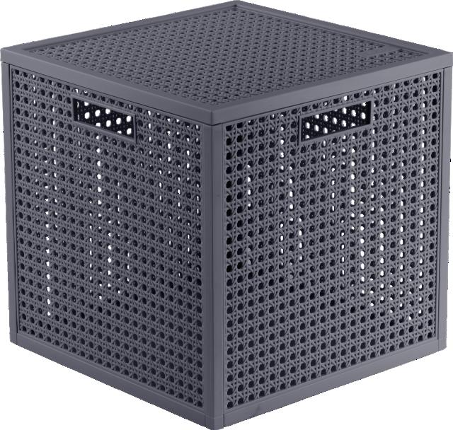 CURVER Úložný box 19 l