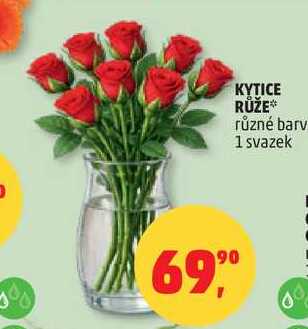 KYTICE RŮŽE různé barvy, 1 svazek 