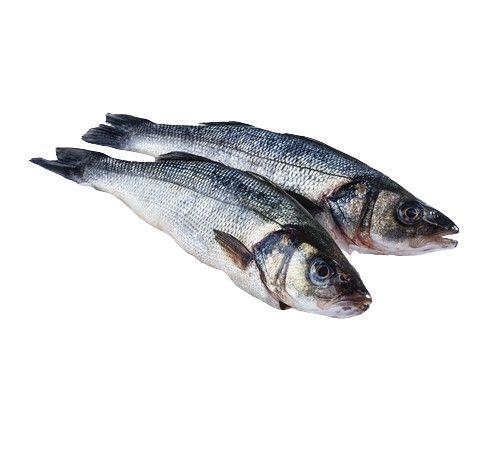 Mořský vlk celý kuchaný, 1 kg