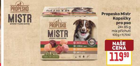 Propesko Mistr Kapsičky pro psa 24x85 g