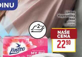 Linteo Kapesničky box 200 ks
