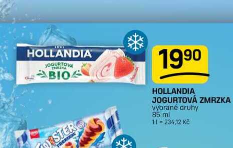 HOLLANDIA JOGURTOVÁ ZMRZKA vybrané druhy 85 ml