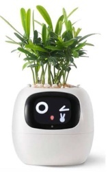 Chytrý květináč Plantsio IVY (PLANTSIO IVY WHT) bílý