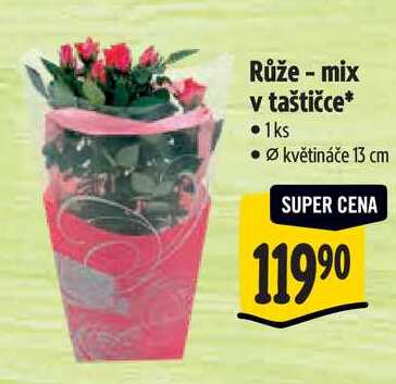 Růže - mix v taštičce