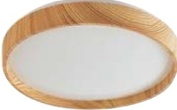 LED stropnice LEANA 2