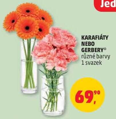 KARAFIÁTY NEBO GERBERY různé barvy, 1 svazek 