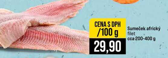 Sumeček africký filet cca 200-400 g 100g