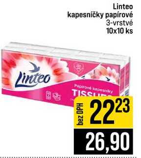 Linteo kapesníčky papírové 3-vrstvé 10x10 ks