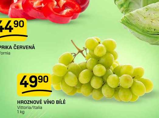 HROZNOVÉ VÍNO BÍLÉ Vittoria/Italia 1 kg