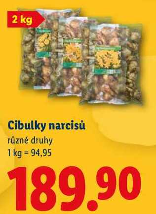 Cibulky narcisů, různé druhy 1 kg