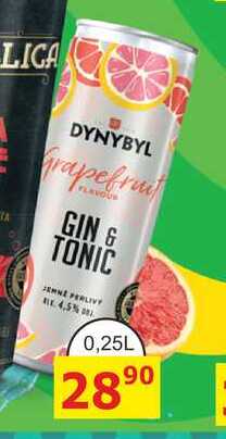 DYNYBYL GIN & TONIC 0,25L