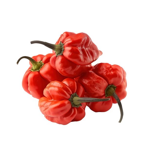 Feferonka Habanero červená