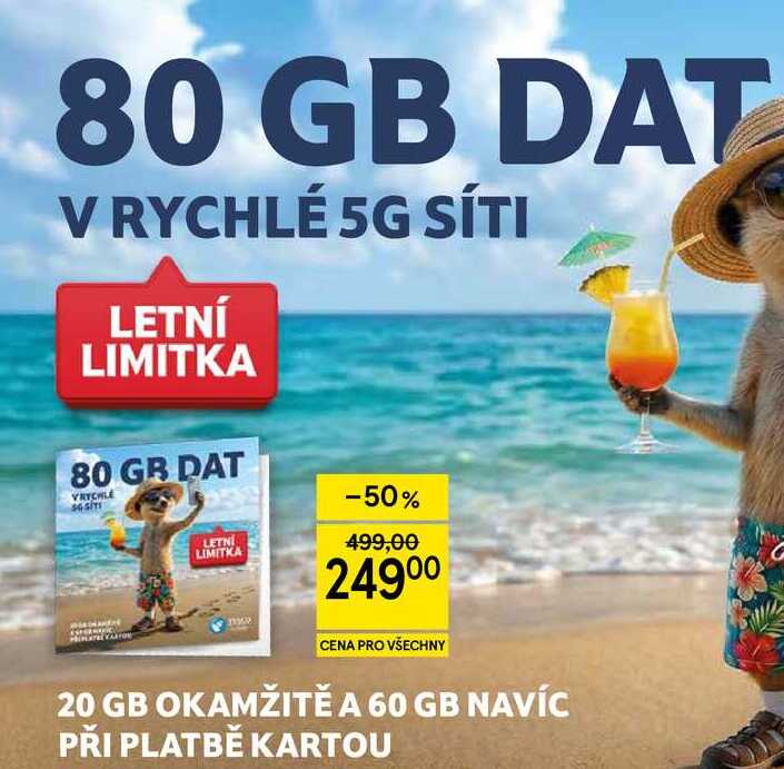 80 GB DAT V RYCHLÉ SÍTI