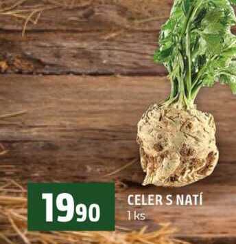 CELER S NATÍ 1ks