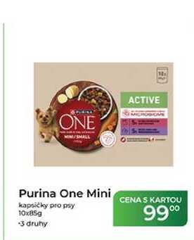 Purina One Mini kapsičky pro psy 10x85g